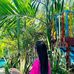 Allison Han - Facebook