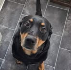 Alisha Abbott - Facebook