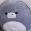 alyshabarnes453 - @alyshabarnes453 - TikTok
