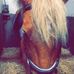 Alysha Van Den Berg - Facebook