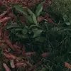 alyssa boyd - @alyssaboyd73 - TikTok