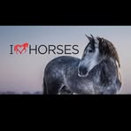 Alisha Donovan - Facebook