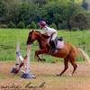 Alisha Fields - @afequestrian2020 - TikTok