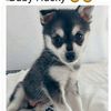 Alysha George  - @alysha_24 - TikTok