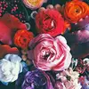 alysiaballantyne - @alysia.ballantyne - TikTok