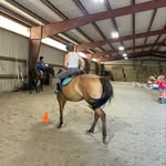 Alyssa Dean - @alyssa_horsegirl_equestrian - Instagram