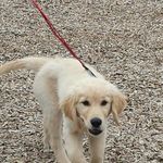 Alyssa Dickens - @sweetcupcakes19607 - Instagram