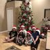 Alysia Labonte - Facebook