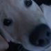 Alysia Moreno - Facebook