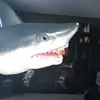 Alysia Morris - @samthelab5678 - TikTok
