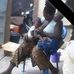 Alice Yeltigri - Facebook