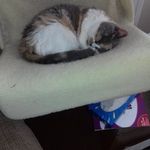 Alyson Allen - @alyson.allen.58 - Instagram