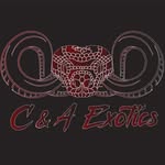 Cody & Alyson Allen - @c.n.a_exotics - Instagram