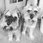 Alison Buchanan - @alison.buchanan.121 - Instagram