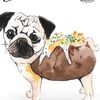 Alison Craig - @puggybuggyhuggy - TikTok