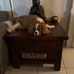Alyson Foster - Facebook