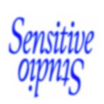 Allison Freeman - @sensitive_studio - Instagram
