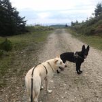 Alyson Freeman - @alysonf47 - Instagram