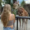alysonmagee - @alysonmagee - TikTok