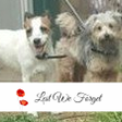 Alison Gilbert - Facebook