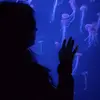 Alyson Gilbert - @alyson.gilbert - TikTok