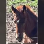 Alison Glover - @alison.glover.313 - Instagram