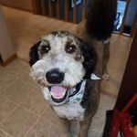 Alyson Gregory - @lemon73ca - Instagram