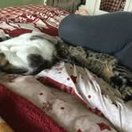 Alyson Gregory - Facebook
