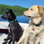 Alison Harrison - @alison.harrison.359 - Instagram
