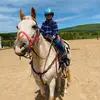 Alison Howe - @alison.howe8 - TikTok