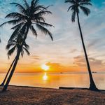 alyson howe - @alysonhow - Instagram