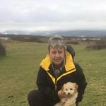 Alyson James - @alyson.james.3 - Instagram