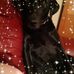 Alison Mcgregor - Facebook