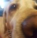 Alyson Mcgregor - Facebook