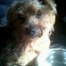 Alyson Mcgregor - Facebook