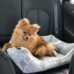 Alyson  Nelson - @bff38383 - Instagram
