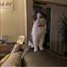 Alison Oakley - Facebook