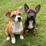 Alison Saunders - @alison.saunders.73 - Instagram