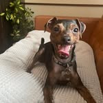 Alyson Saunders - @dragonfly6ca - Instagram
