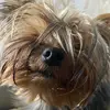 Alysonsaunders - @alysonsaunders1970 - TikTok