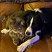 Alyson Walker - Facebook