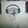 Alison Webster - @alison.webster7 - TikTok