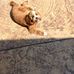 Alyson Wiley Jackson - Facebook