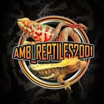 Alyssa Beebe - @amb_reptiles2001 - Instagram