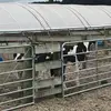 Alyssa Billington - @alyssa.billington7 - TikTok