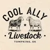 Alyssa Boles - @cool.ally.livestock - TikTok