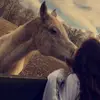 alyssa.bradleyyy - @alyssabradley - TikTok