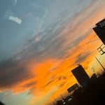 Alyssa - @alyssacagle1 - Instagram