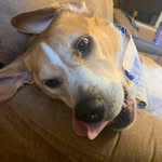 Alyssa Calvert - @alycat20071 - Instagram