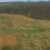 Alyssa_Cantrell - @alyssa_cantrell - TikTok